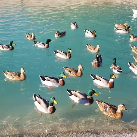 Montegolf Con Terraza Privada * Los Dolses