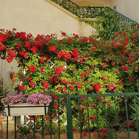 Διαμέρισμα Montegolf Con Terraza Privada *